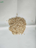 吹塑级可降解、全生物降解的材料混合物可堆肥可生物降解的PLA可制成袋子 符合GB/T 38082-2019标准