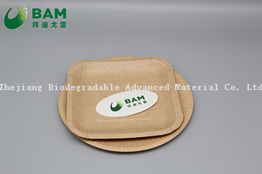 可降解、全生物分解的可分解堆肥面包店外卖食品包装蛋糕的方形板 符合GB/T4806.7标准