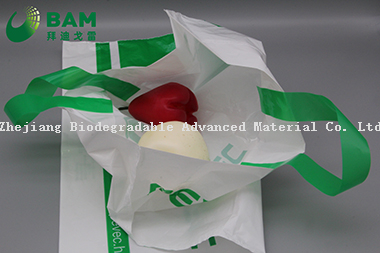 可持续性一次性可降解、全生物降解包装载体塑料回收定制超市购物蔬菜时尚T恤袋水果色提手袋 符合GB/T 38082-2019标准